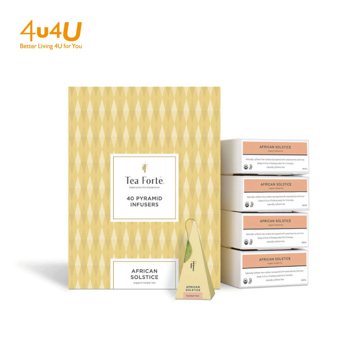 Tea Forte 40入金字塔型絲質茶包 - 南非紅葉茶 Event Box - African Solstice ▶90F015